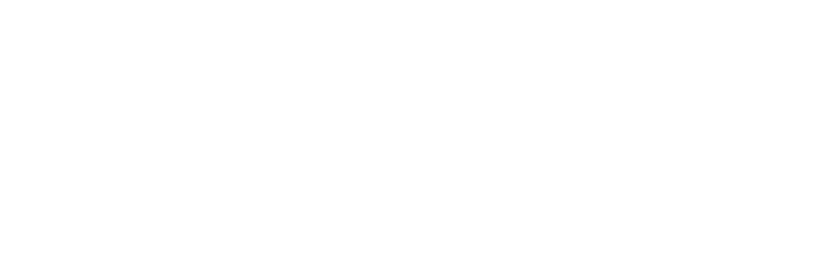 SERP Conference